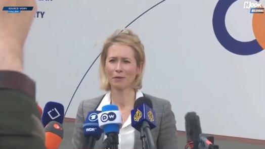 看来美国一撤军还真是让欧洲很多人慌了神，欧盟外交与安全政策高级代表卡拉斯：美国从