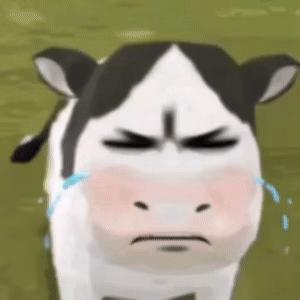 看杨幂演的新剧，我还真找了一下演员表，寻思张凌赫也参演生万物啦，结果是这种形式的
