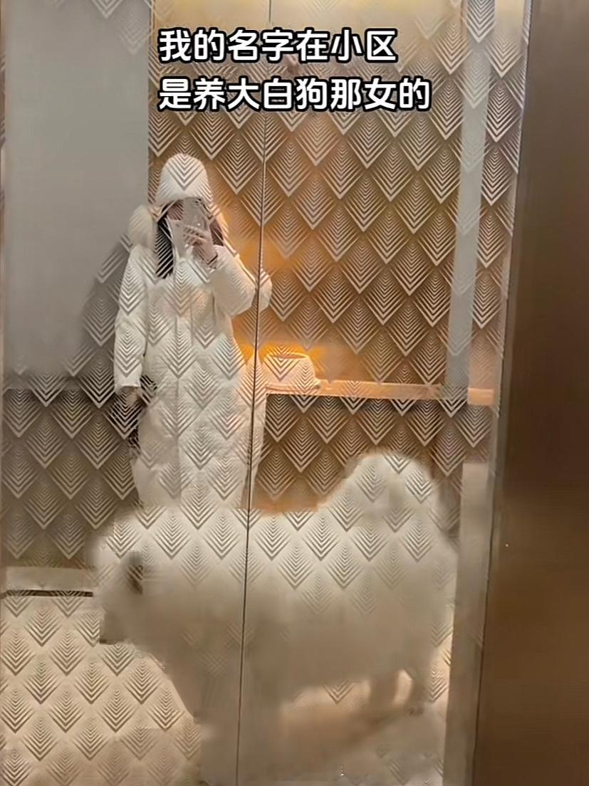 养狗后失去了自己的本名[允悲]#我的春日狂欢日记##遇见春天# ​​​