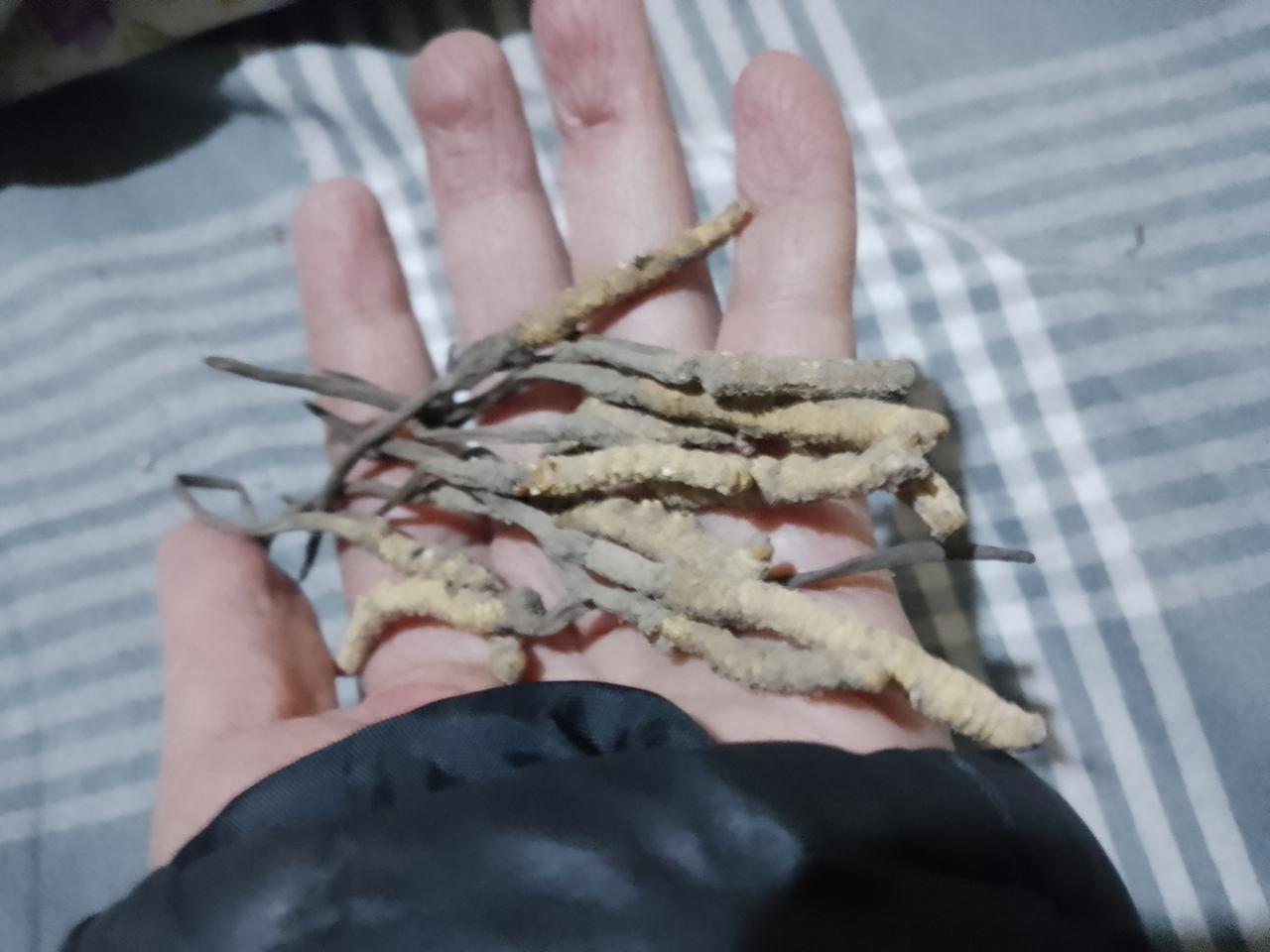 刷到这个对联互动，盯着上联“雾绕幽径草色迷”和给出的下联“雪缠梅花竹腰直”看了好