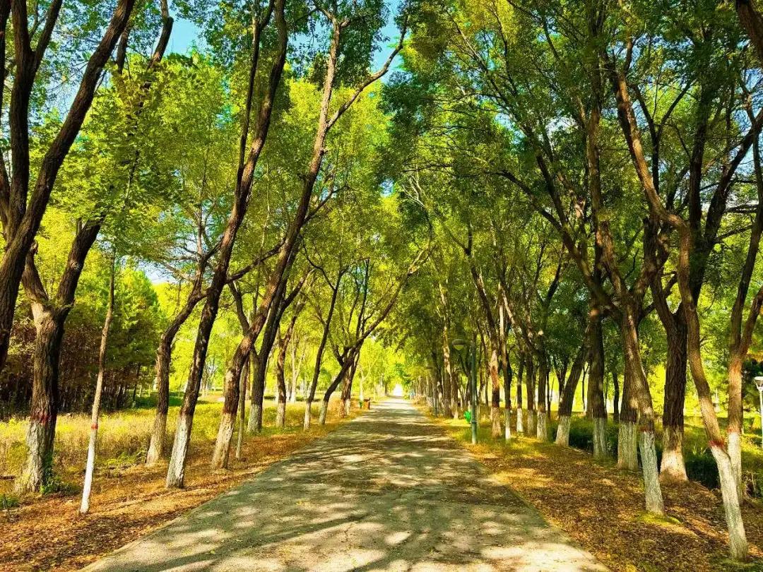 旅游的方式不外乎两种，一是感受，二是享受。感受，就是身临其境，感受旅途的劳累和艰