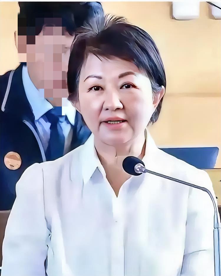 台中市长卢秀燕6月10日在德国窜访时表示，她向德国友人传达了台湾所谓“捍卫国家”