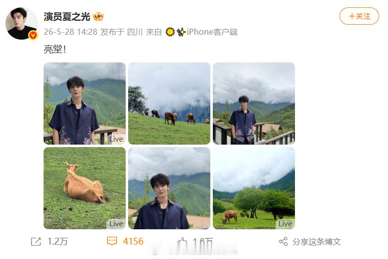 夏之光粉丝在线P图夏之光粉丝在线帮P图多此一举救命！夏之光随手拍的这张风景照，被
