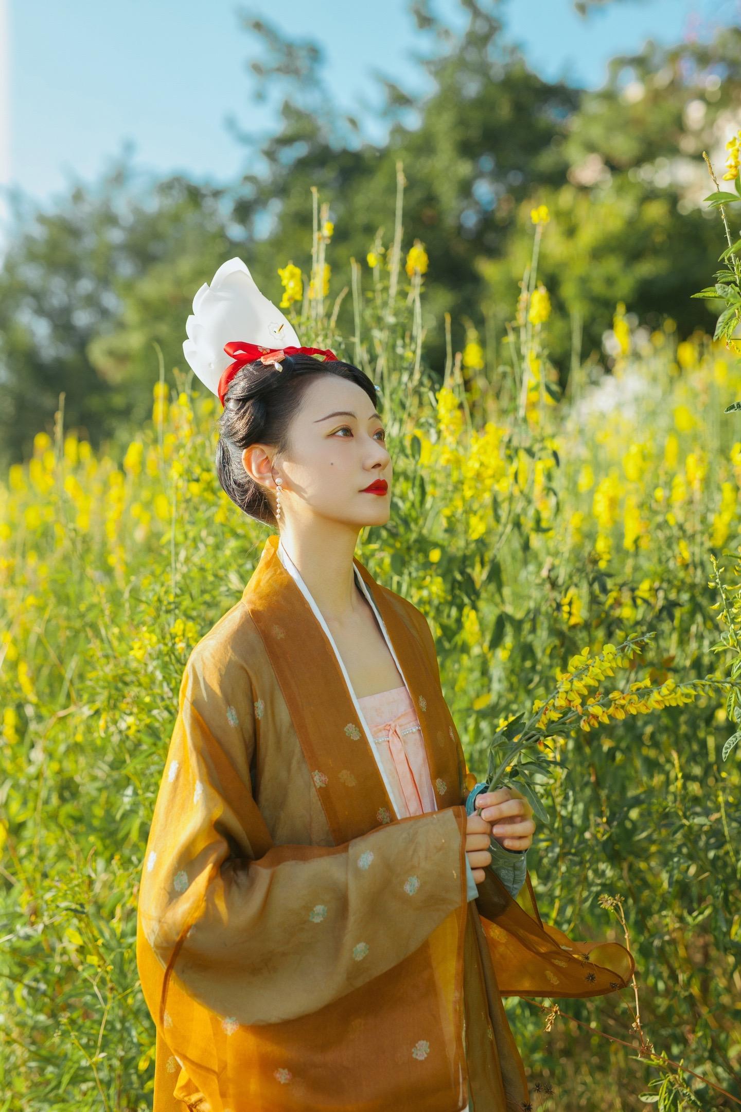 北宋｜但愿年年，春风有信，人心长久。汉服穿搭·北宋