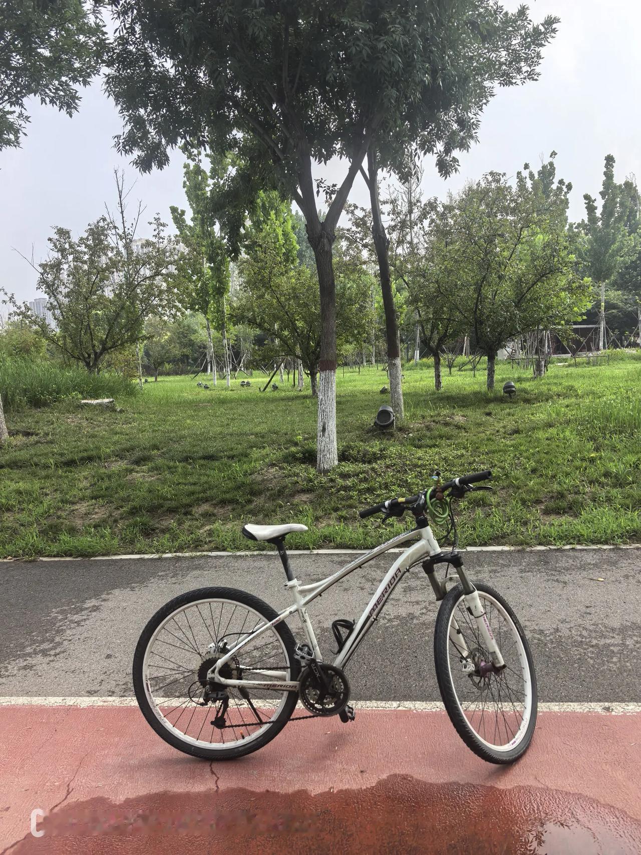 已经有段时间没骑行了，入伏以后天气闷热怕中暑，其实说起来这也只能算是个托词罢了，