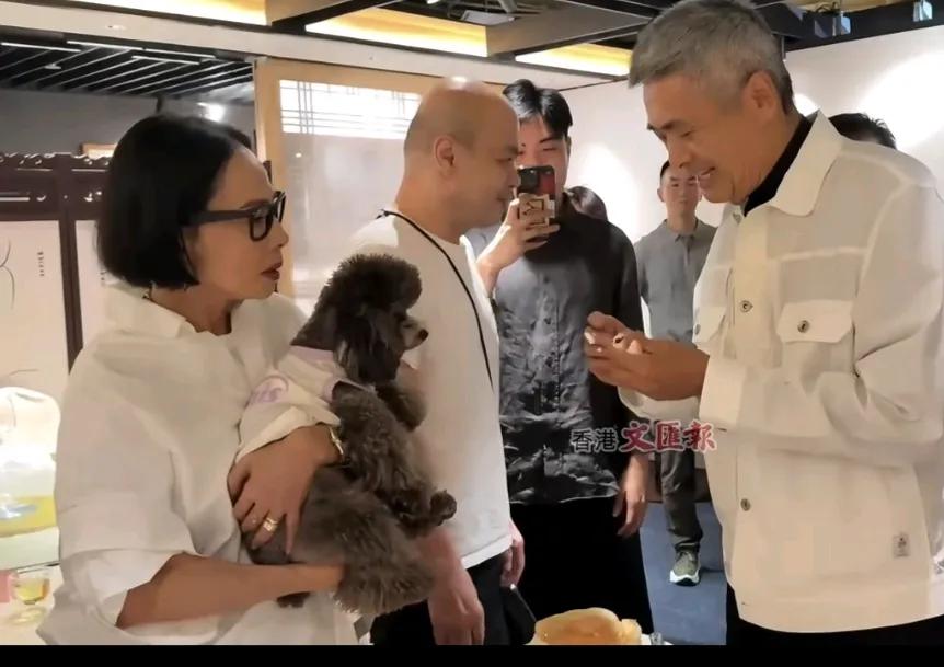 周润发70岁生日，宾客满座。发哥发嫂还有爱犬一起的画面太温馨了！演艺界大咖级别的