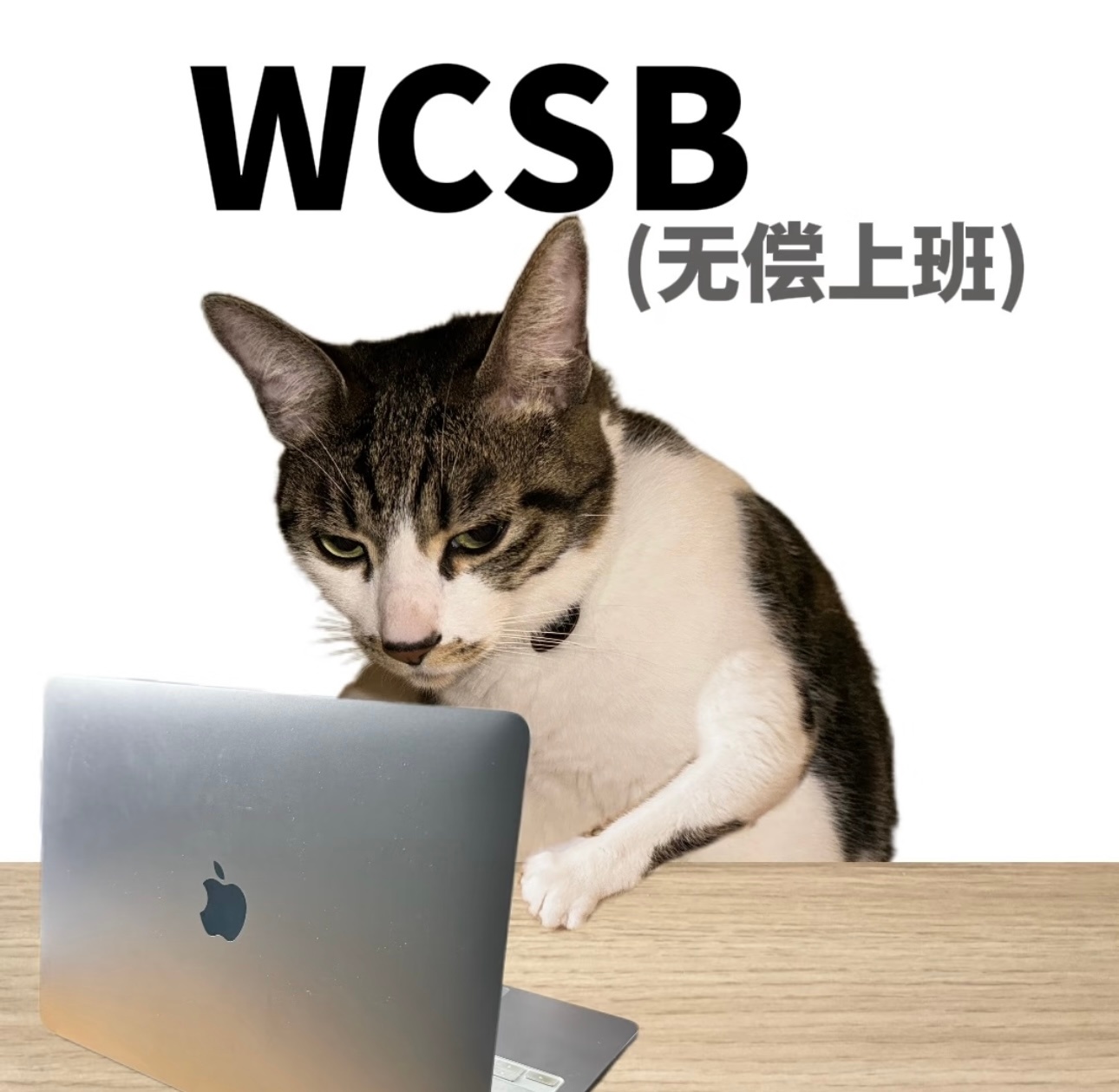 符合我上班的精神状态到底是谁发明的上班？？？不敢睡觉，睡醒了就又要上班了…… 