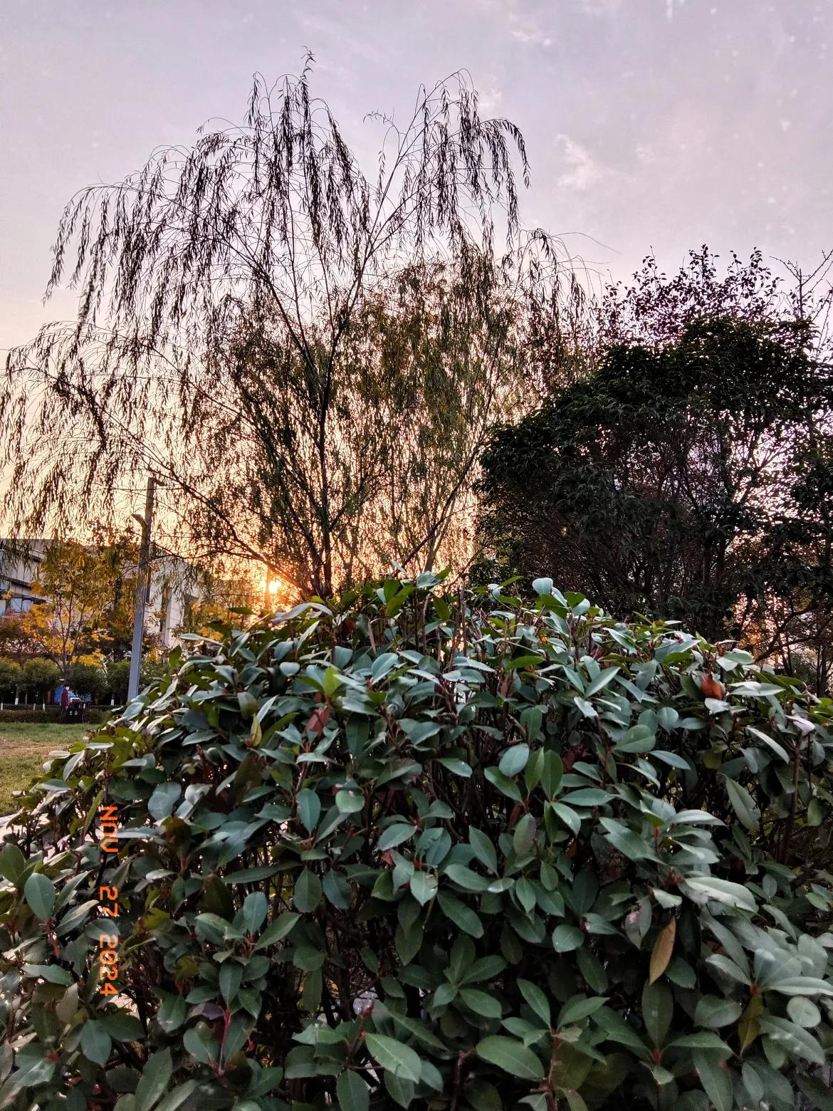 夕阳无限好，只是近黄昏
