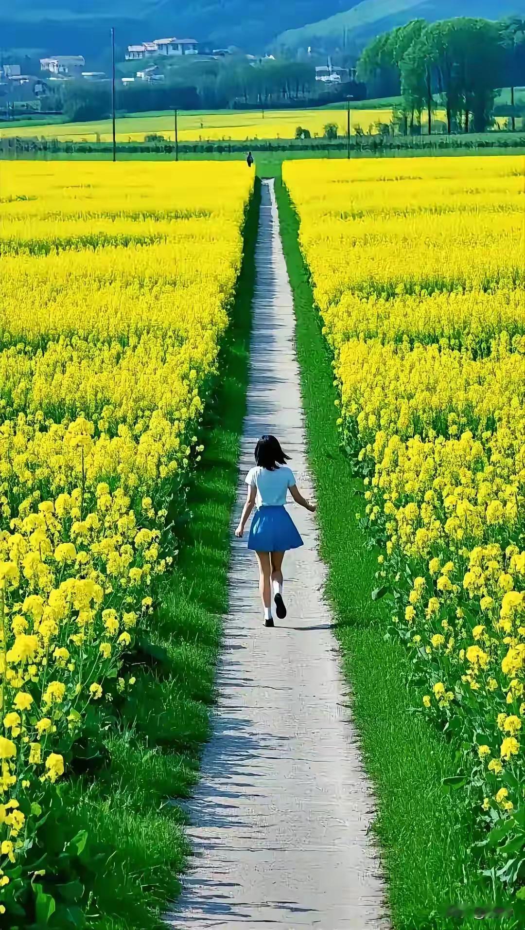 楼下的树木草丛里，这片小花又开了。
前两年，发现这片小花的时候，非常惊异，自由散