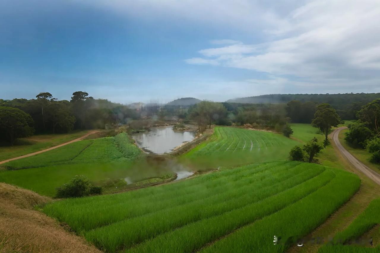 我的宝藏兴趣车窗外，烟雨朦胧。池塘静卧，水面微皱。农田绿意蔓延，似大自然铺开的绒