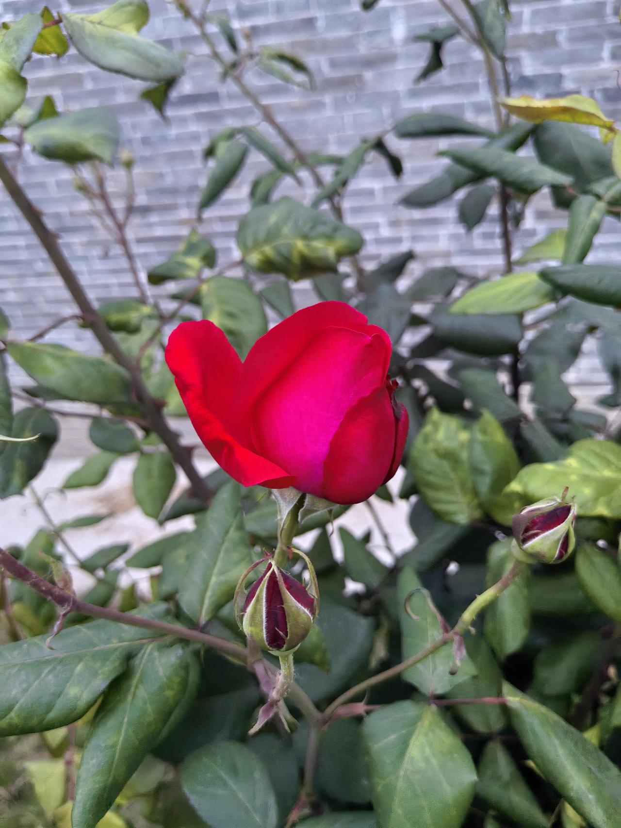 解放军强硬回应“闭嘴” 食管癌：被“烫”出来的食管危机 中方：希望欧方不要低估中