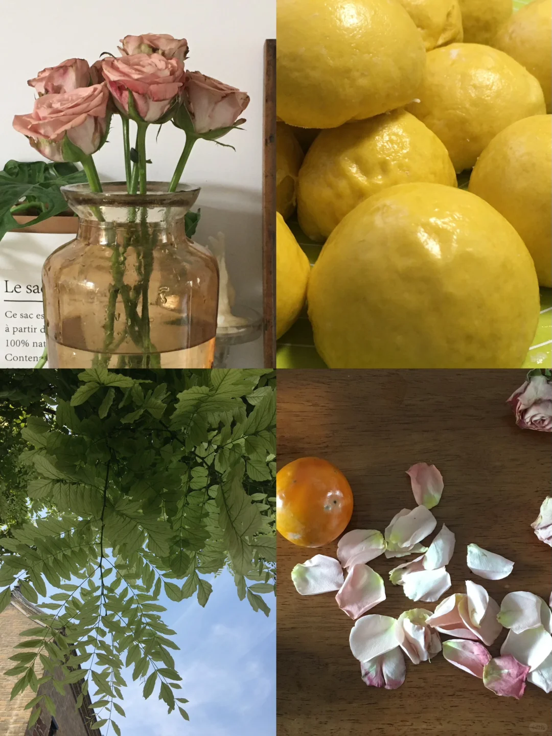 自我觉察是修行最快的方法。