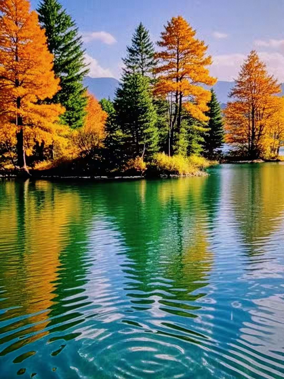 “本事是闯出来的，不是等来的”：父亲用30年教会我：所谓天赋，都是苦熬出来的勋章