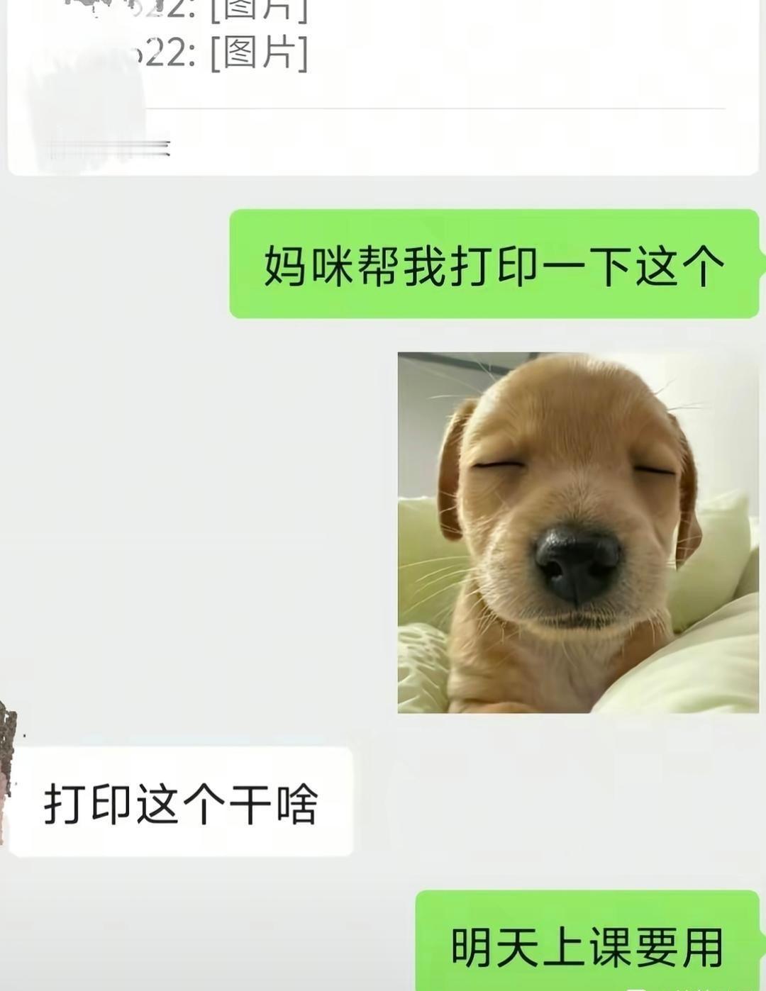 打印店笑了五分钟才给打印的 