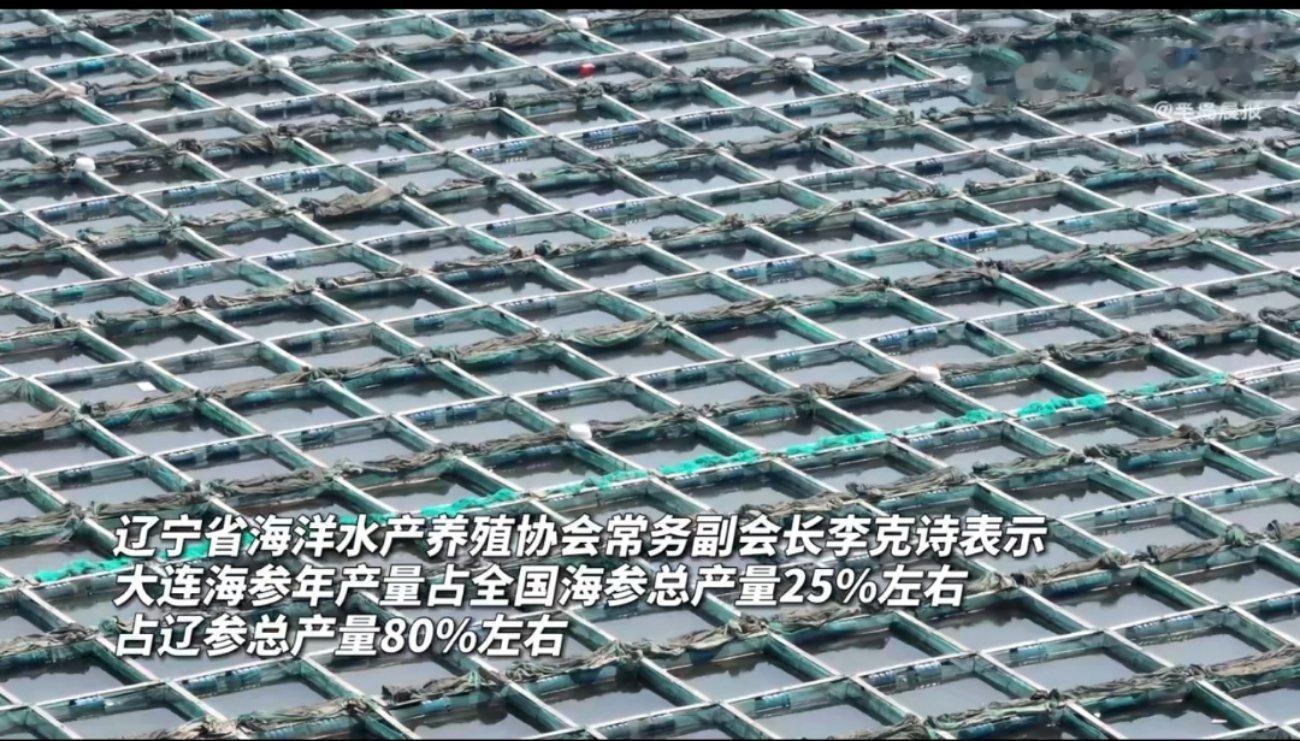 #潜水员大连捕海参日薪超2000元#潜水捕捞也是一种特难得技术活，也伴随着风险，