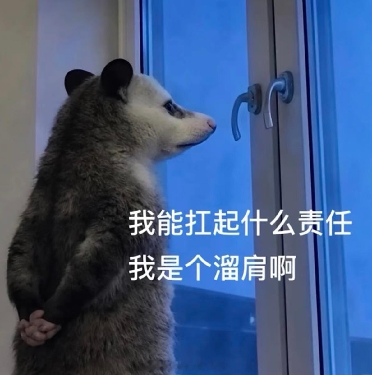 即将用腰间盘突出这个理由度过洛阳和上海… 