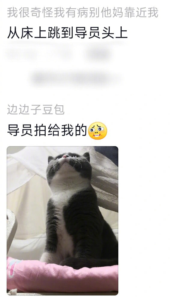 宿舍的小动物是怎么被发现的 ​​​