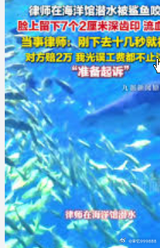 律师在海洋馆潜水被鲨鱼咬头这是一起历史性的事件！在湖南省长沙市，一位律师和家人参