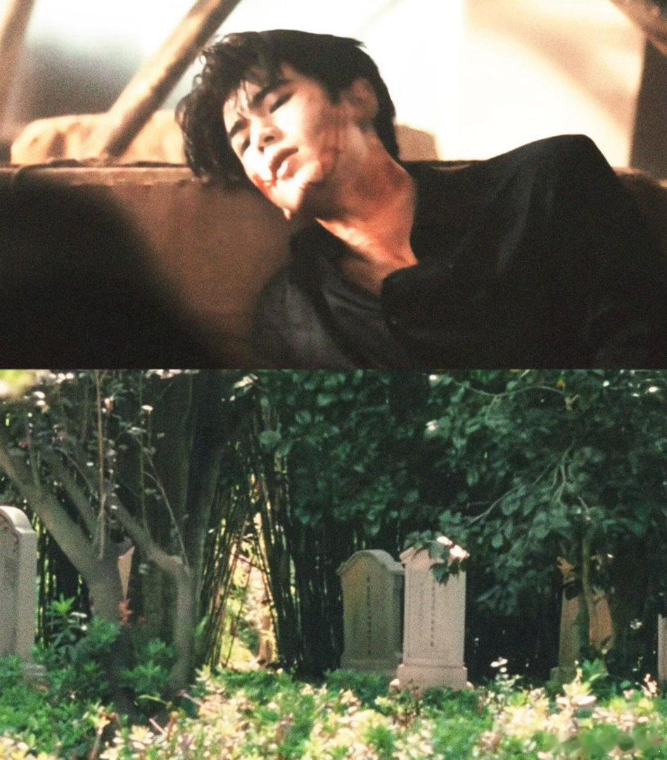 婚礼番外和正片的对比实在太强烈，一边是战火纷飞生离死别的悲剧，一边是岁月静好相守