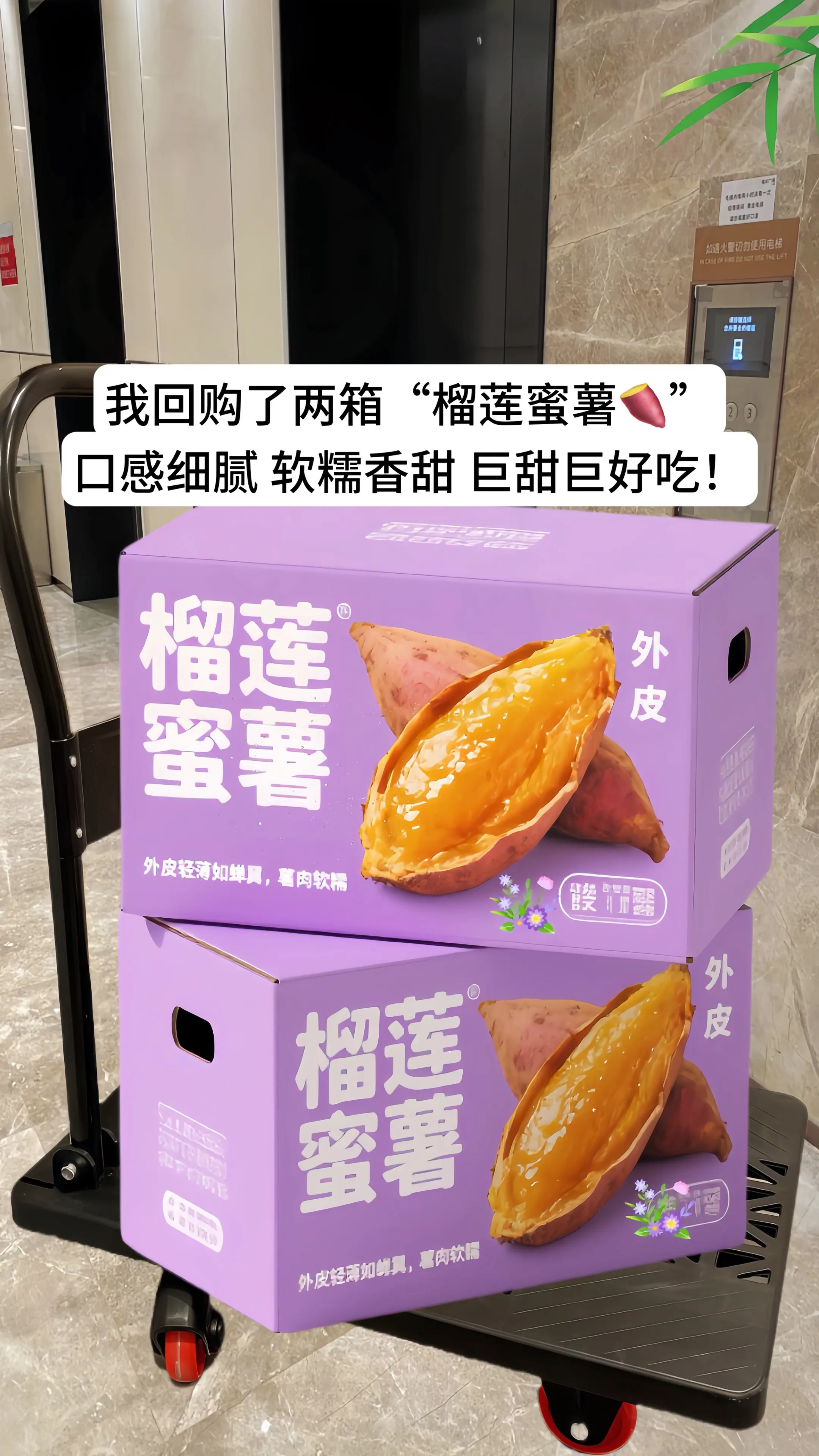来自广西的榴莲蜜薯真的像榴莲一样的口感，你吃过吗？爱蜜薯的看过来，这个...