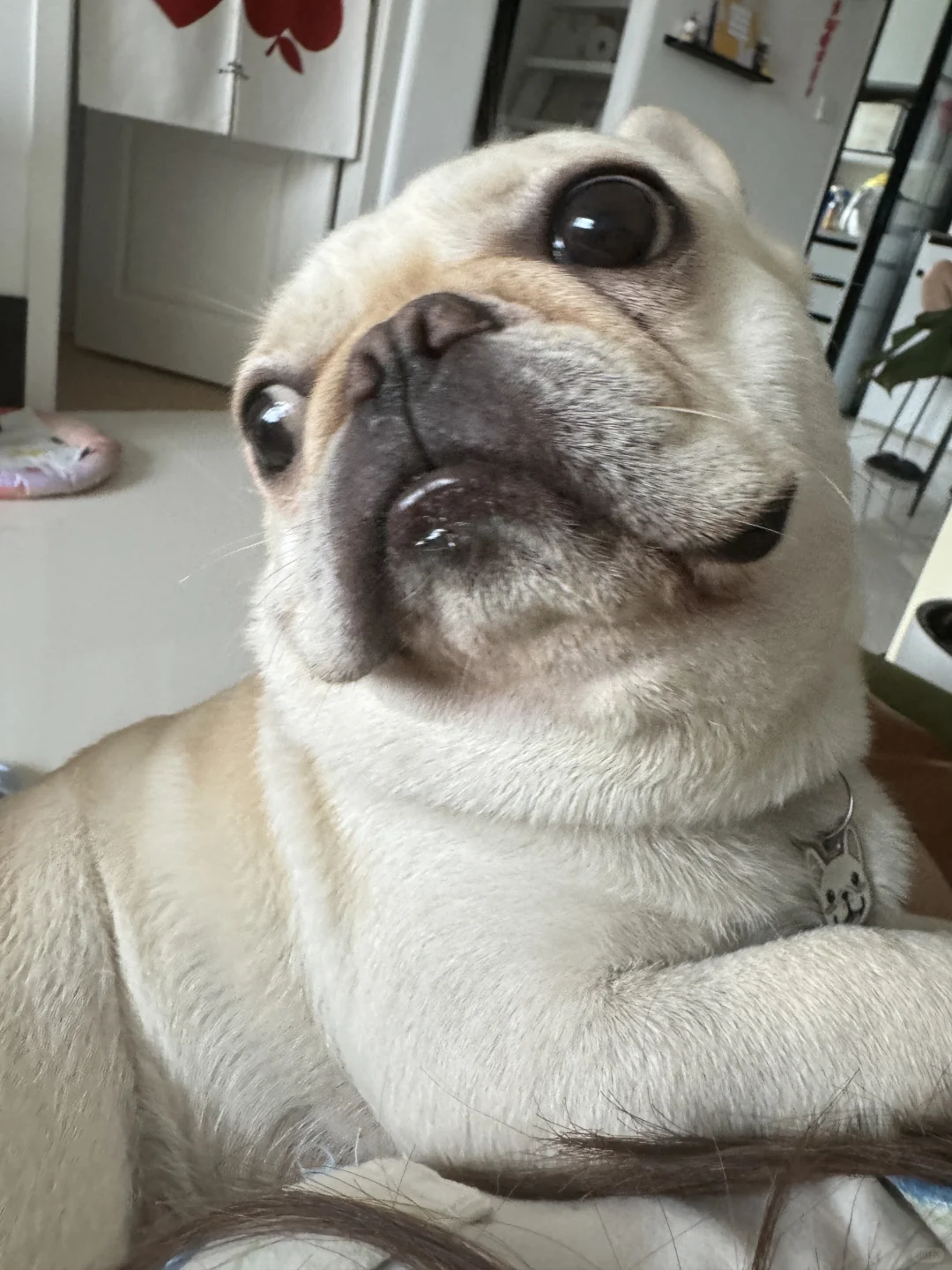 这视角！谁懂我！！