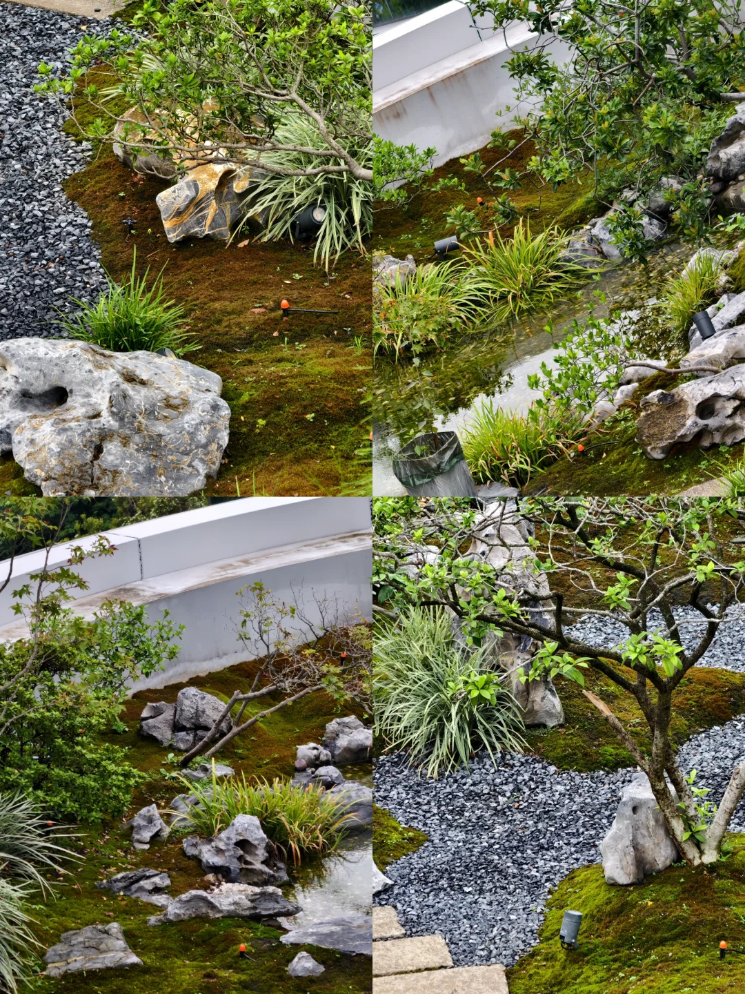 住进城市里的江南小院🌿