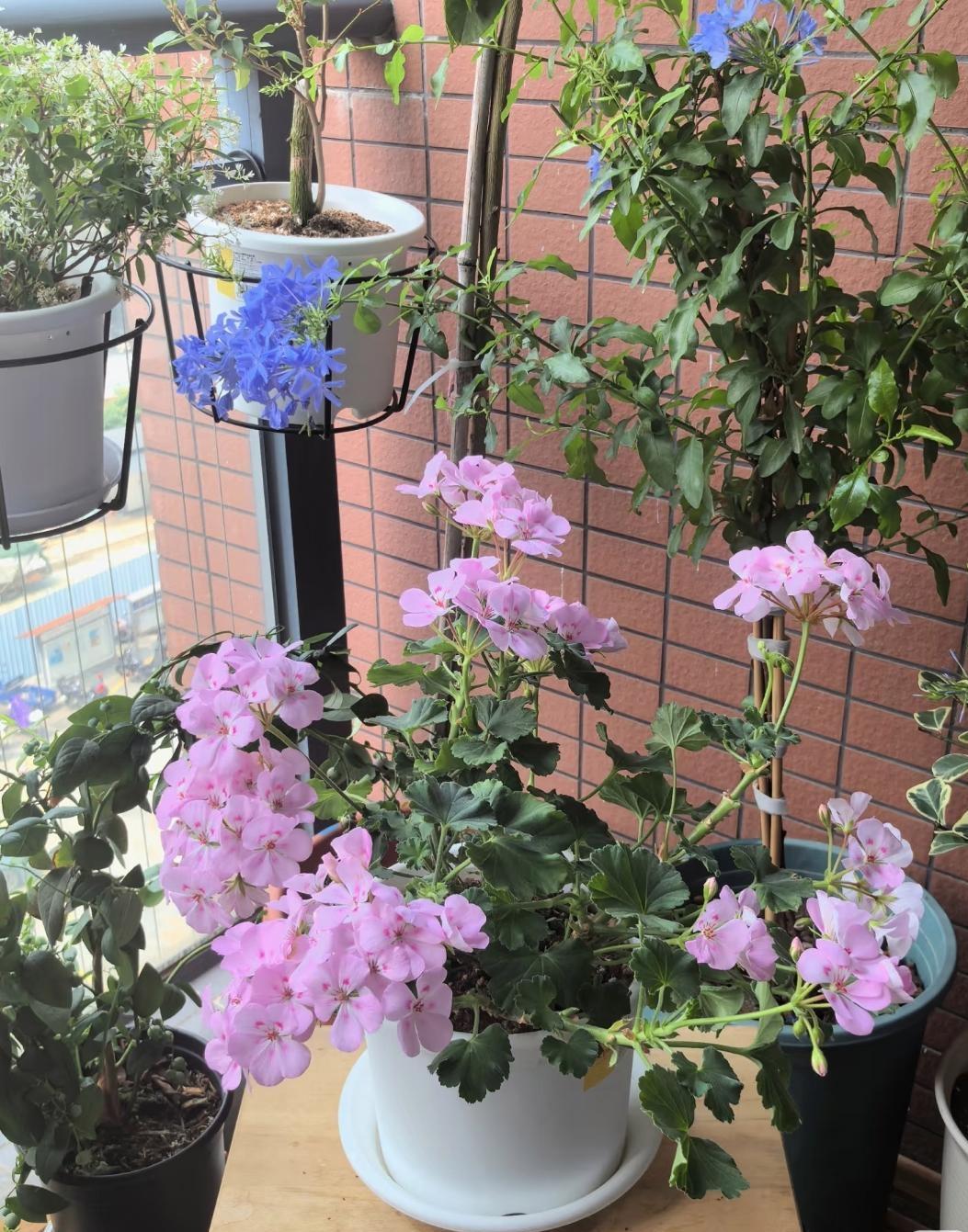 福建泉州，一位00后女生五一假期不出去玩，她来到一个瀑布前，都以为她是来看风景的