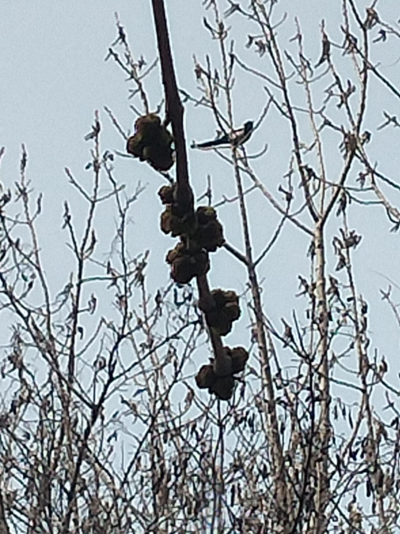 农村生活丰富多彩呀[赞]