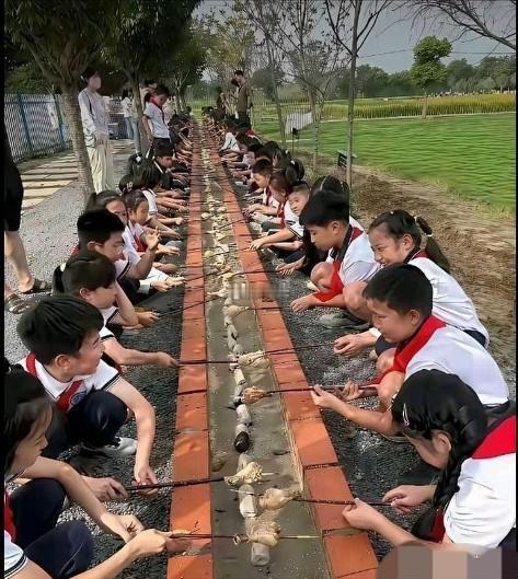 我就想，老师组织学生们参加这样的活动，有什么意义呢？