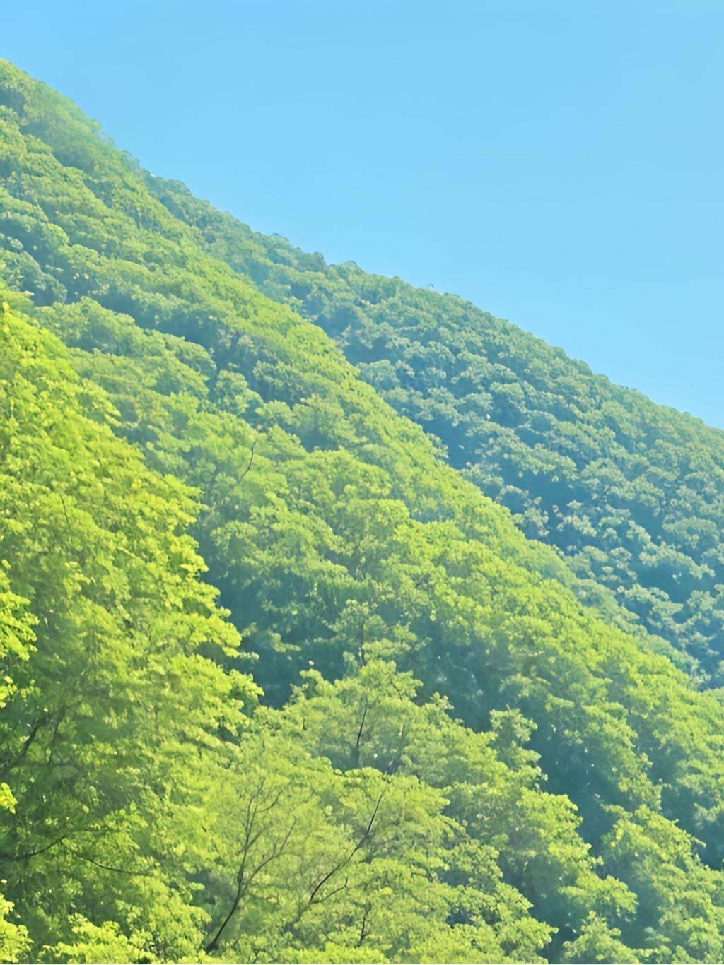0900人生最珍贵的六种财富：一是洋溢在容颜上的自信，二是融化在血液里的骨气，三