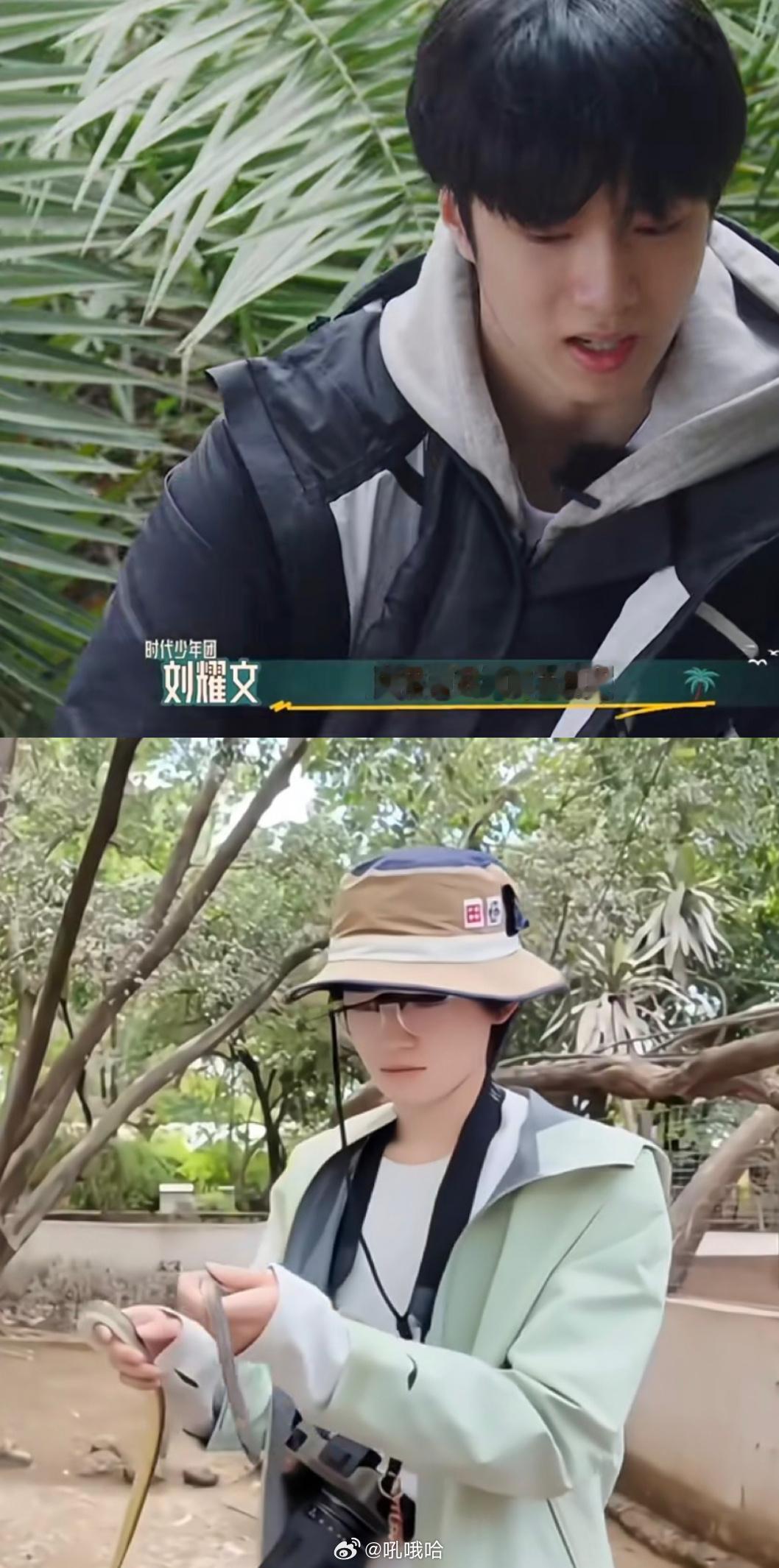 一个怕蛇的人居然要去抓蛇 啥意思啊 家里有个管事的不怕就行了呗 