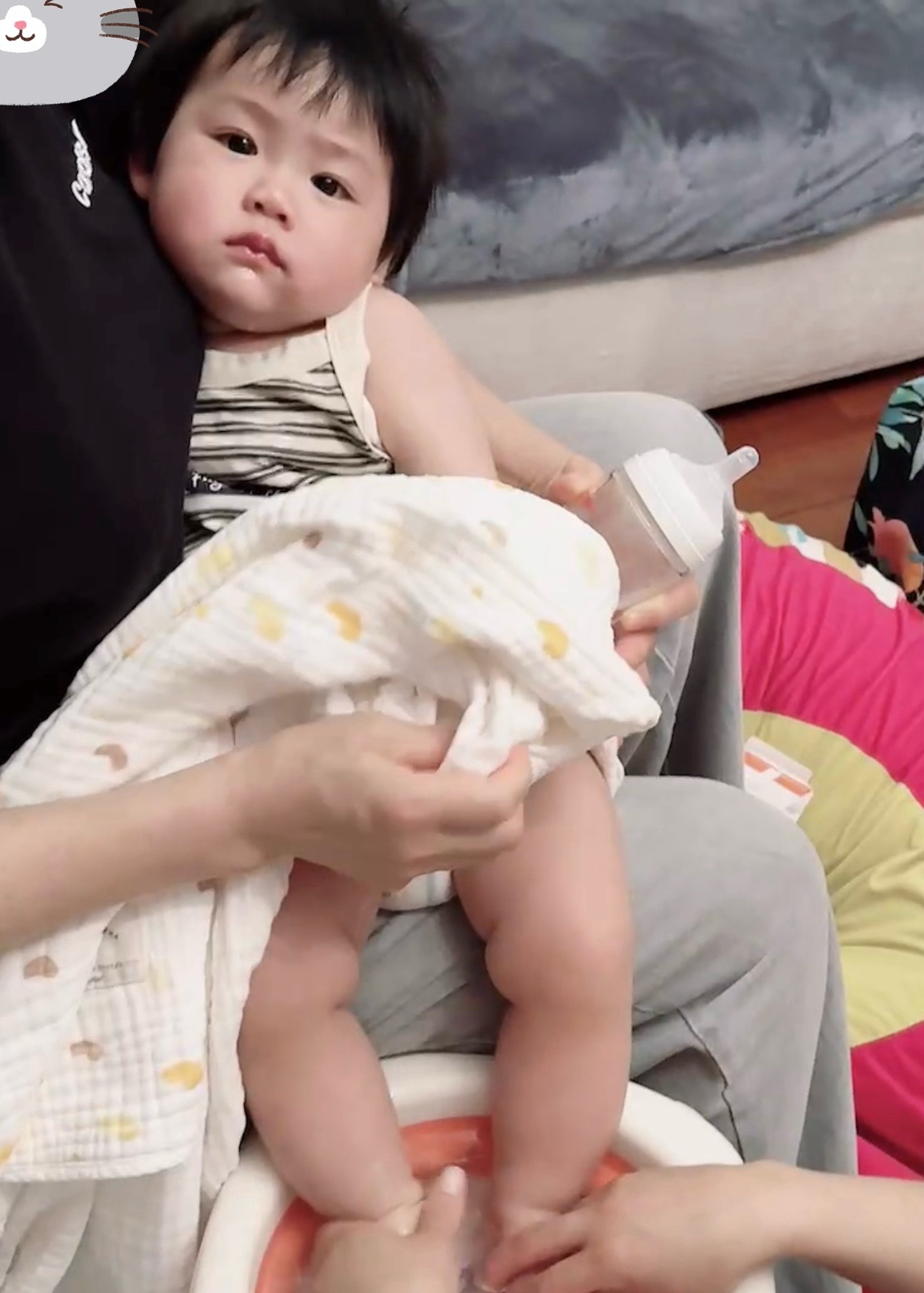 小小碗发烧了不知道怎么回事回来就热了烧到了39.4整个人蔫蔫的大碗被我抱着哄睡了