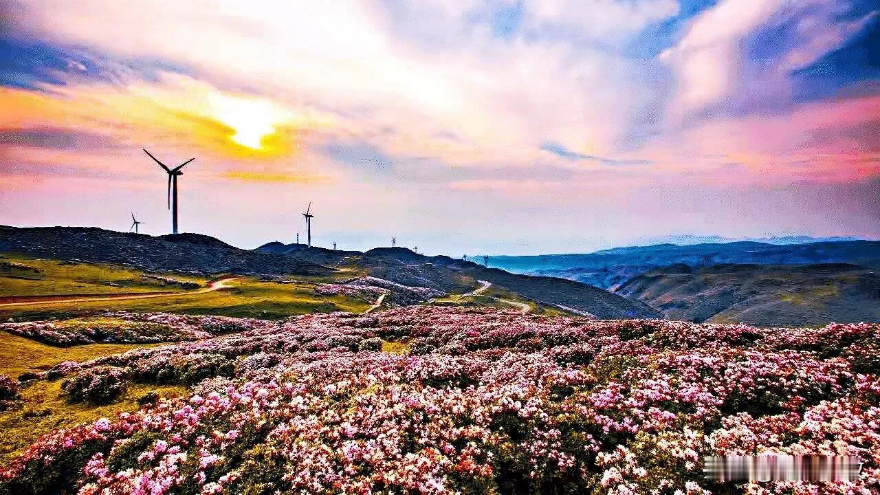 #国庆黄金周贵州再掀自驾游热潮# 
       走遍神州大地，醉美多彩贵州。#
