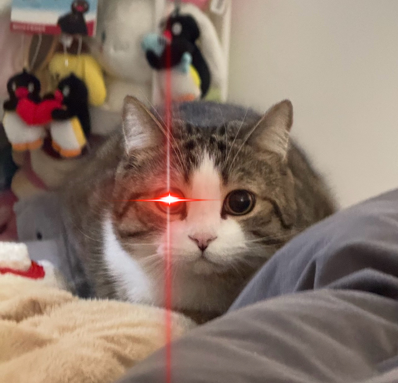咪！猎杀时刻到！ 
