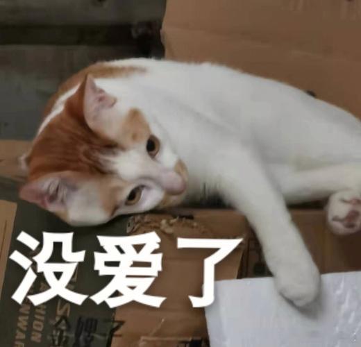 转账备注不求结婚分手索赔11万男子恋爱期间转账特意备注不求结婚，分手后却反悔索要