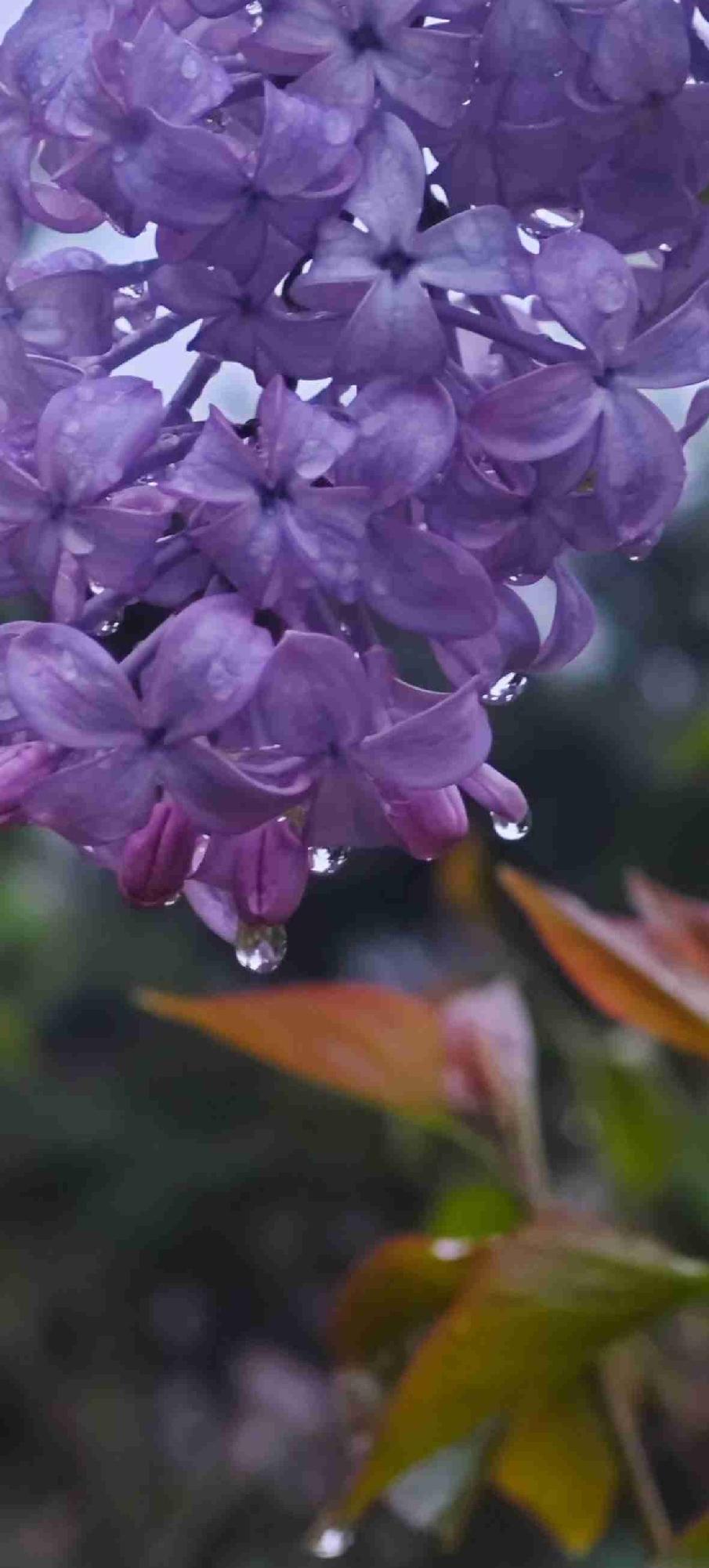 我的今日状态：😁轻松愉快
我这里的天气：🌧下雨
上联：银河不见半滴水，诚邀下