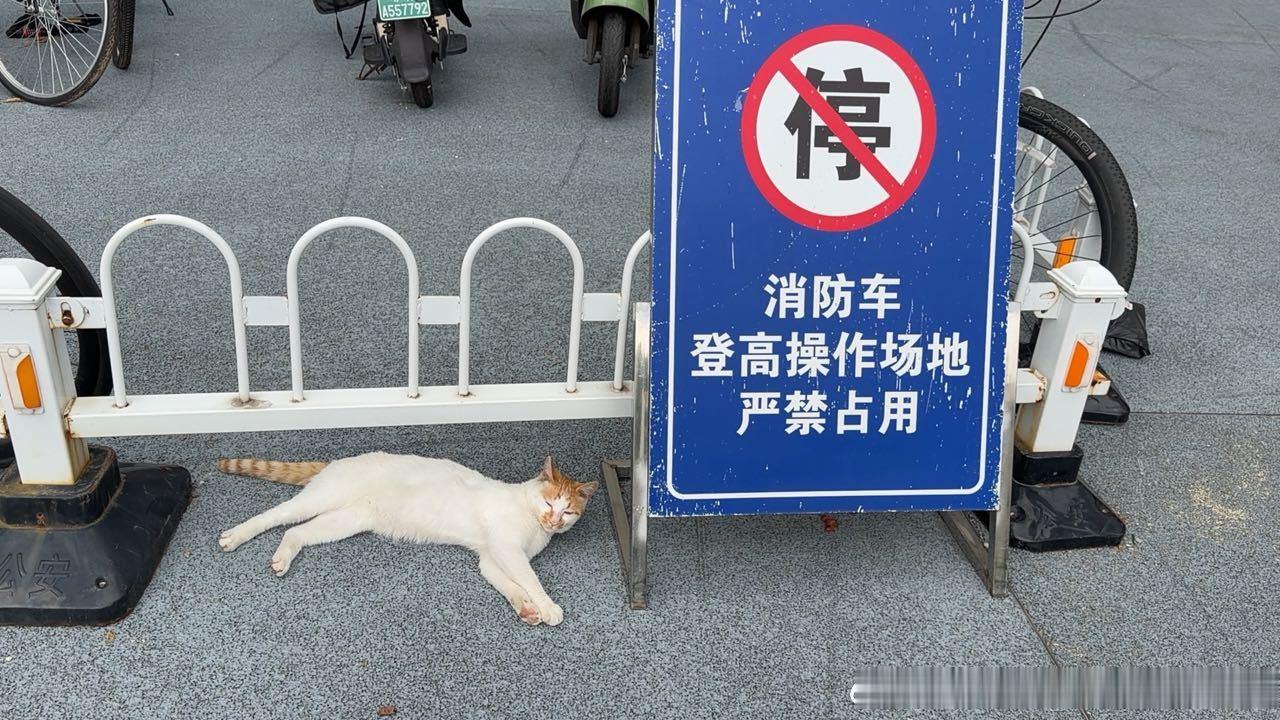 49866【心灵丑】都说了不要占用这里怎么有辆摩托 