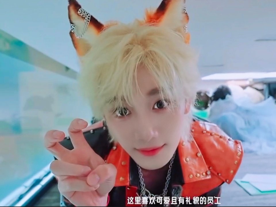 小狐狐小狗狗小崽崽小狸狸 