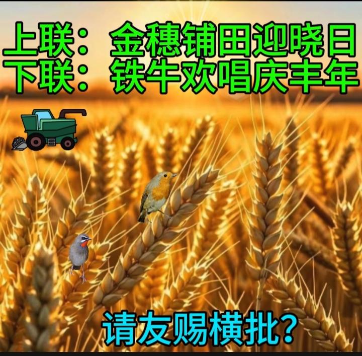 上联：金穗铺田迎晓日
下联：铁牛欢唱庆丰年
请友赐横批？