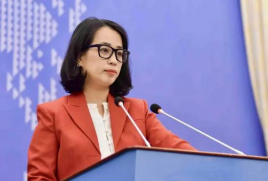 越南高层现在估计心里直发慌。

他怎么也想不到，7月12号美菲等14国刚把南海仲