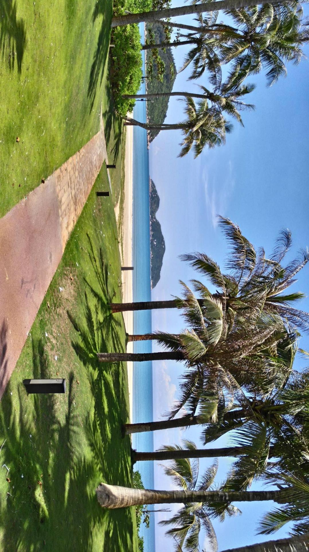 阳光洒满的沙滩，椰林掩映的海岸，宁静而美丽。🏖️🌴🌊