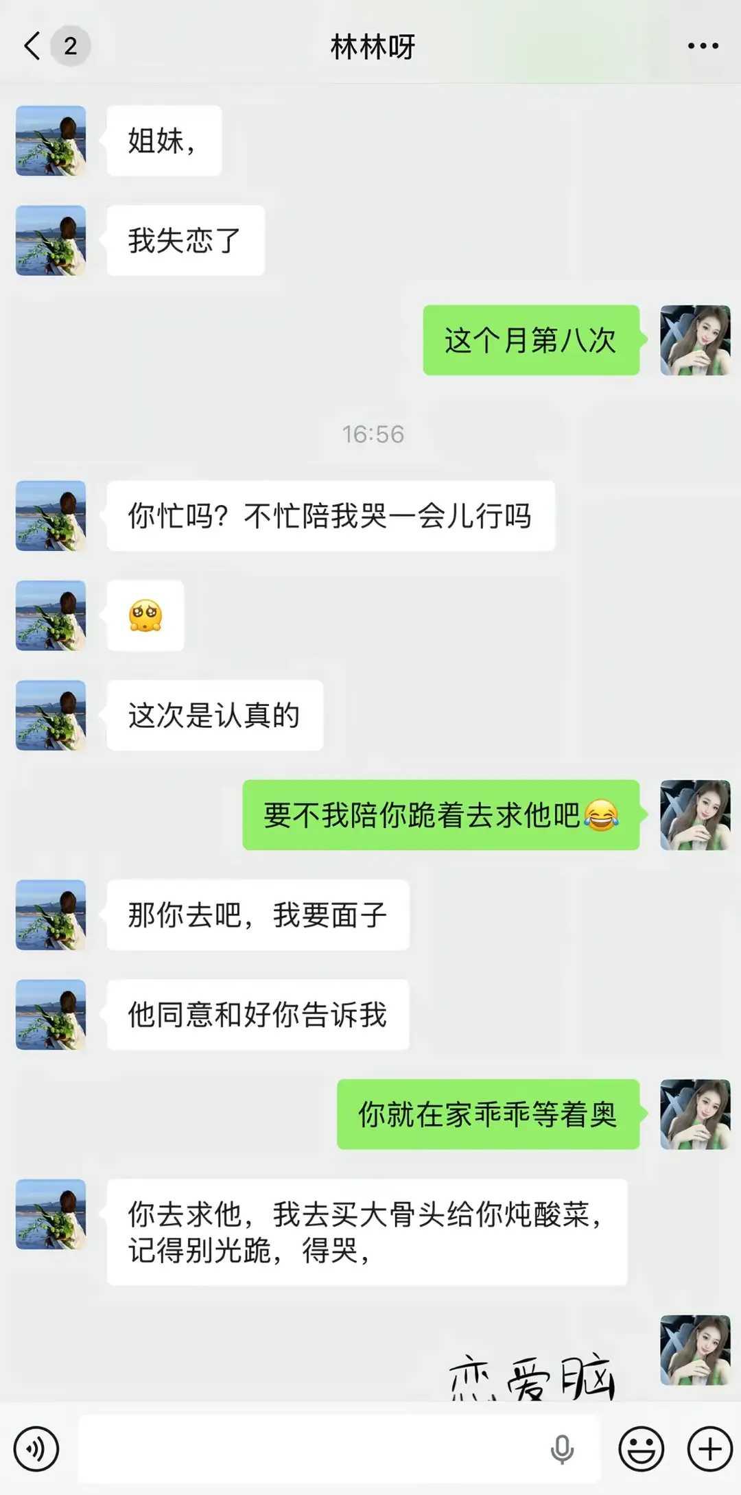 介样事儿的姐妹给我来一打，用命疼她