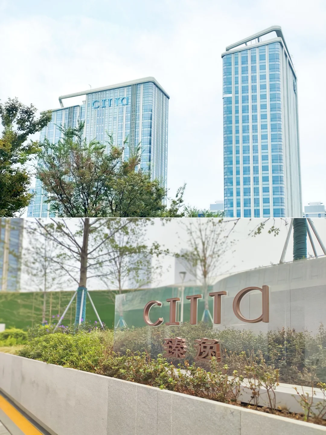 发现河西宝藏公寓！天幕窗景拎包住出大片感