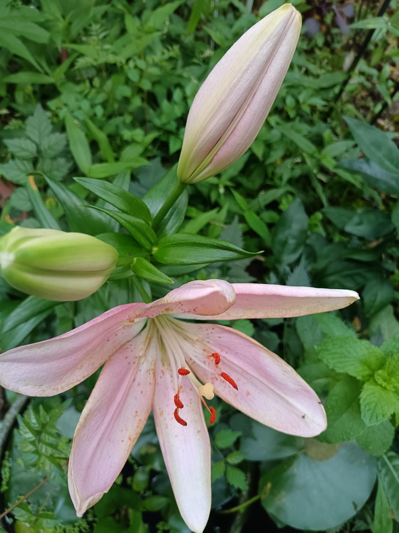 六一儿童节一起在书中找孩子气