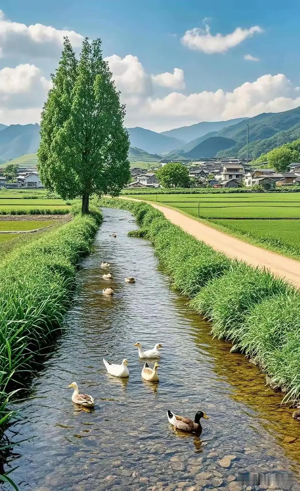 《采桑子·惜缘寄怀》

相逢岂是寻常遇，
皆是尘缘。
晓语相牵，
不为虚仪为重贤