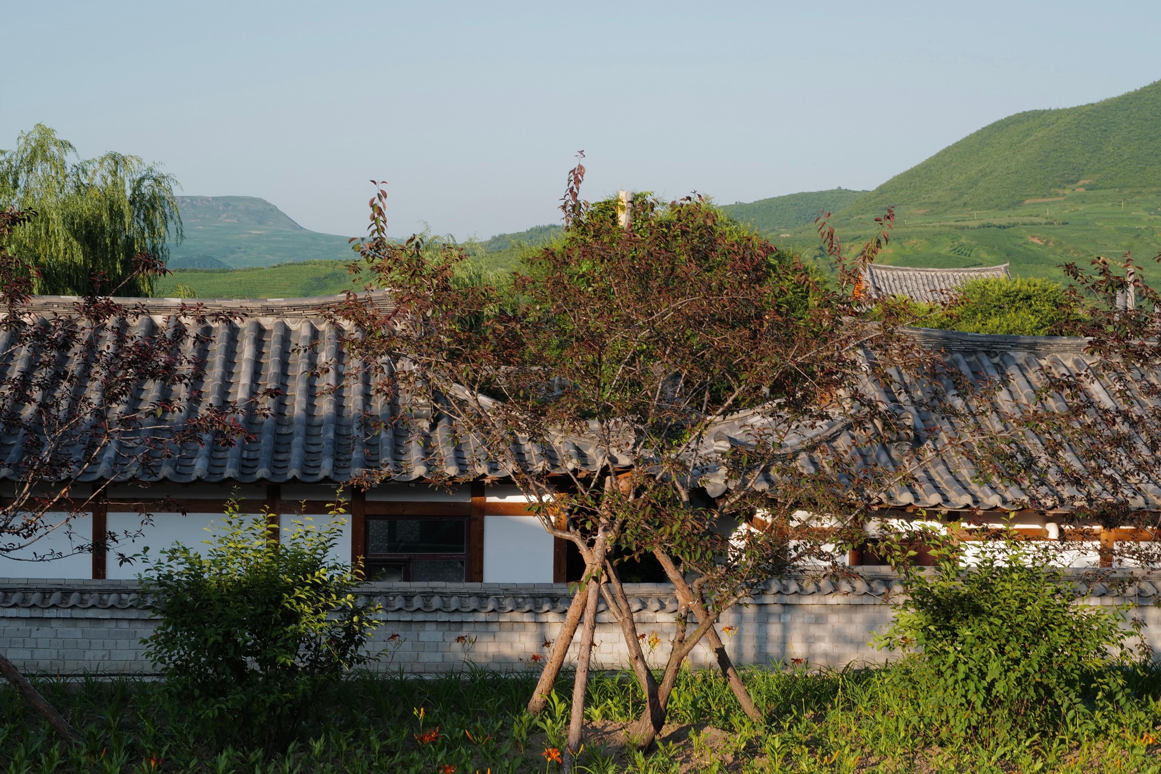 从图们回延吉是沿边境公路走，很少遇车。途径月晴镇白龙村，是一处已受保护的朝鲜族古