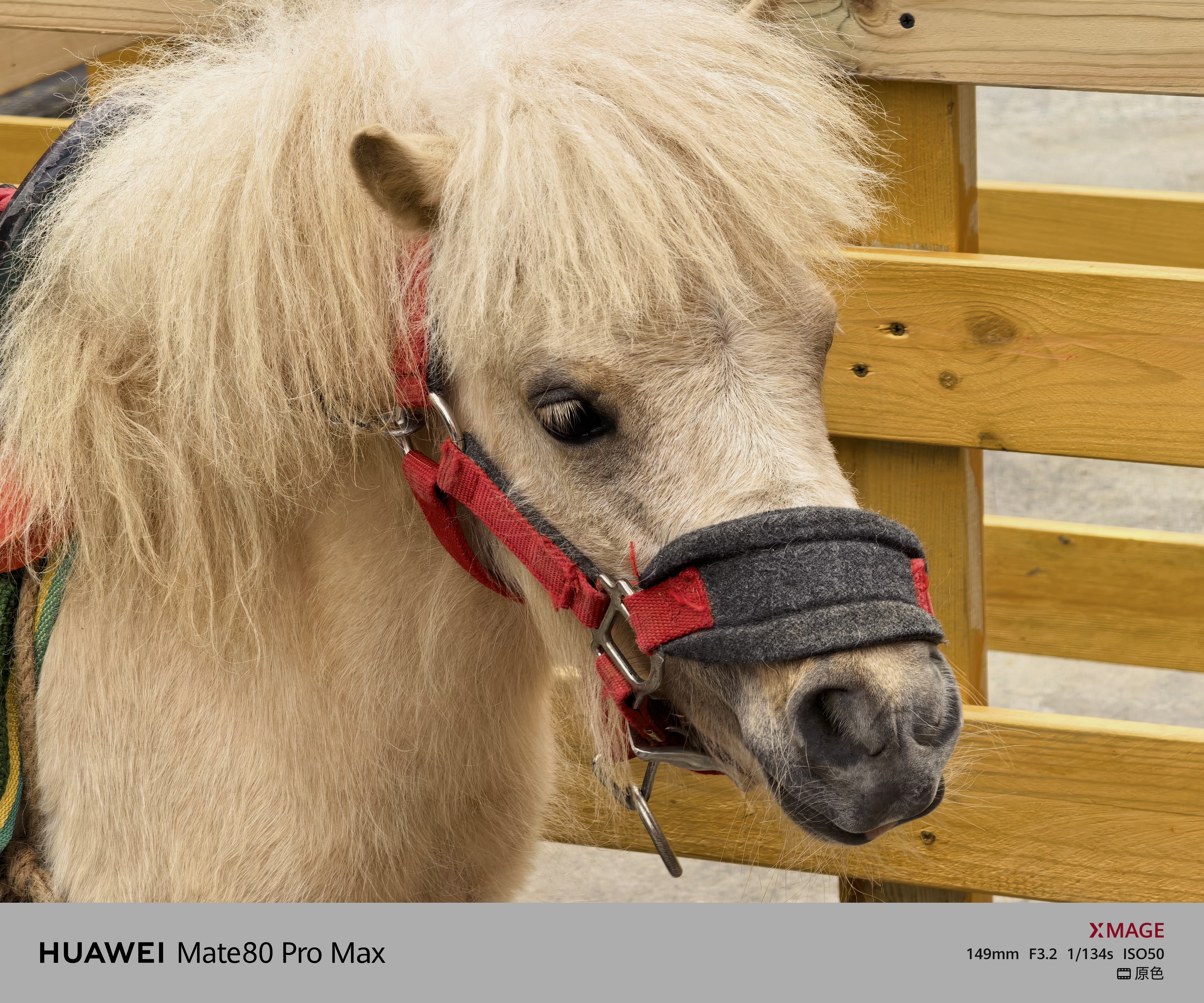 还得是Mate 80 Pro Max，各方面用起来都比Mate X7爽多了，拍照