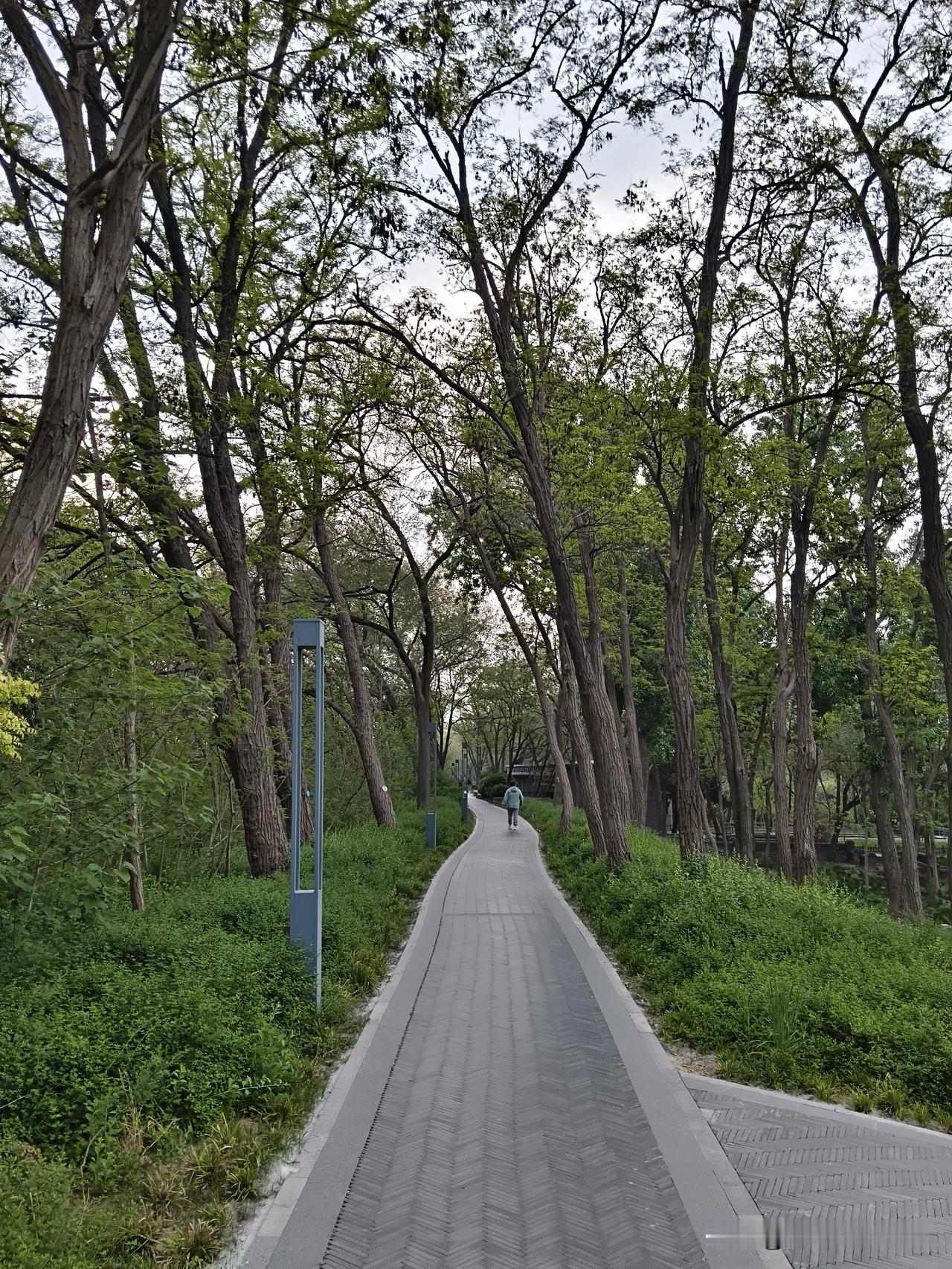 柳叶刀2018年，发表文章说，每天坚持锻炼，一年多赚17万。
今天又成为热搜。