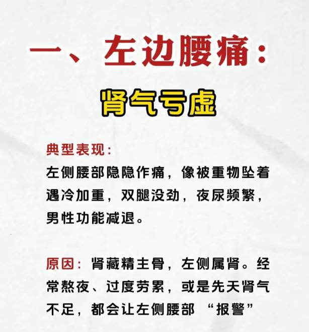 中医辨证：不同位置腰痛的脏腑对应与调理思路
