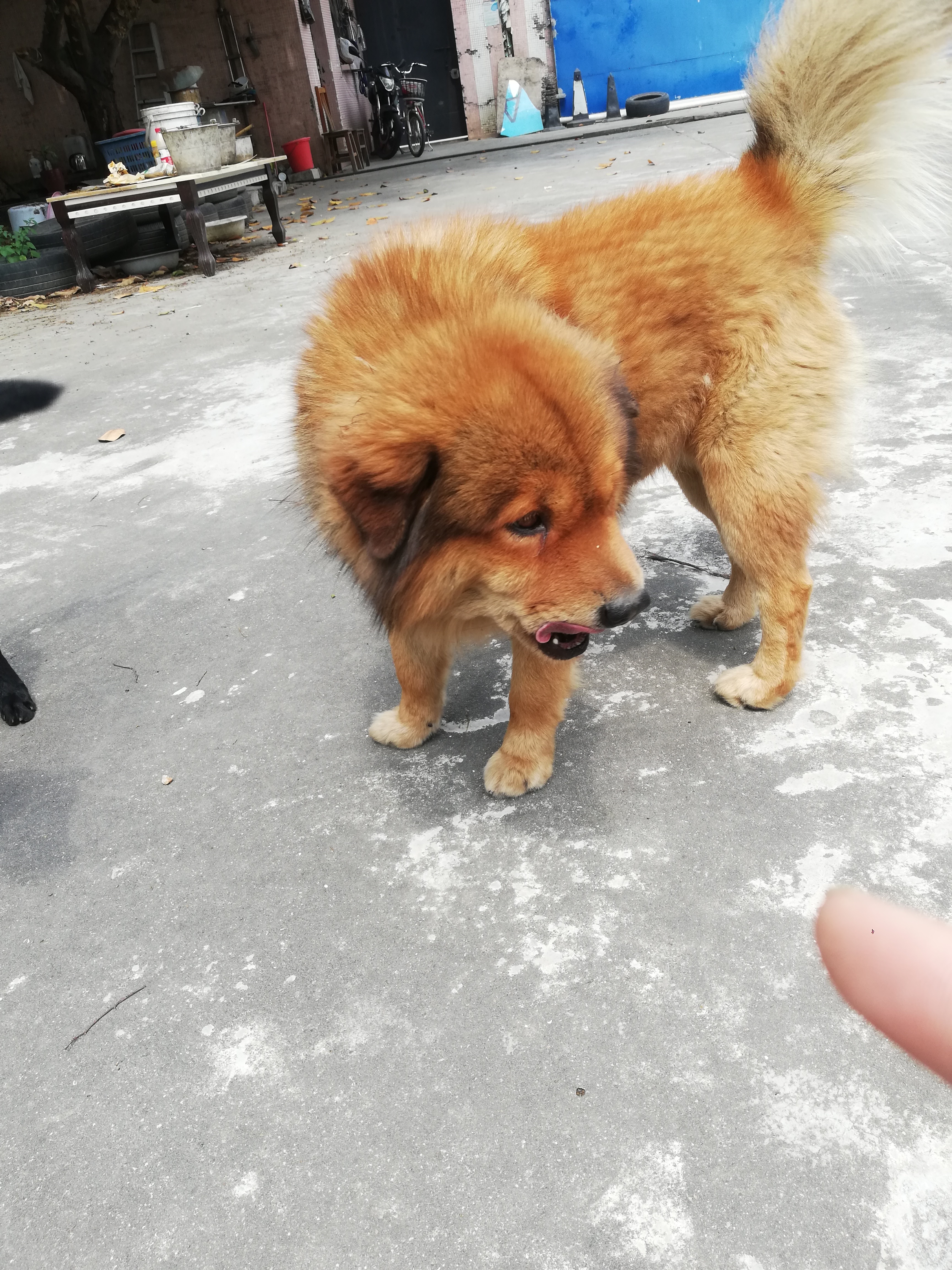 哎呀，怎么跟到家门口了
